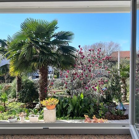 Apartments Summer Bloom Krk Town Dış mekan fotoğraf