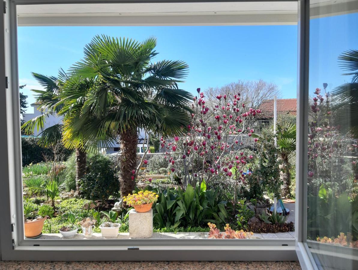 Apartments Summer Bloom Krk Town Dış mekan fotoğraf